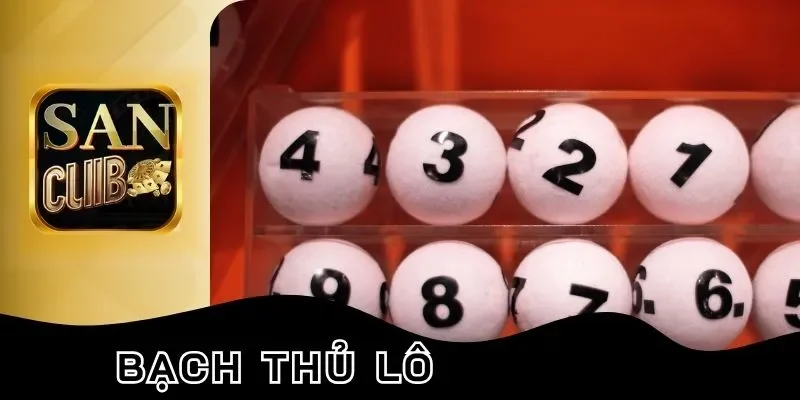 bạch thủ lô